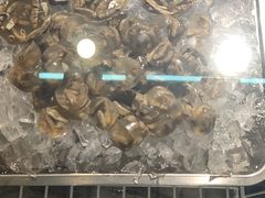 -铭聚章鱼土笋冻(松柏店)