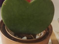 -五进制 Coffee Shop
