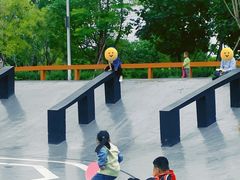 -王借岗森林公园