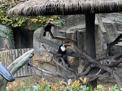 -上海野生动物园