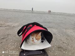 -江山半岛白浪滩景区