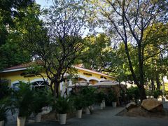 -火车头法国西餐厅