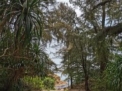 -那琴半岛地质海洋公园