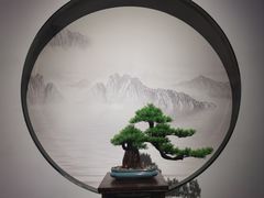 -山东博物馆