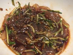 拉皮-金掌勺东北菜(格兰晴天店)