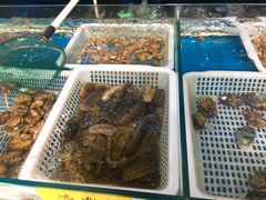 -射阳海鲜城(盐城店)