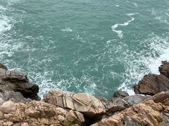 -广东惠东海龟国家级自然保护区
