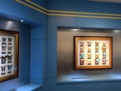 -上海昆虫博物馆