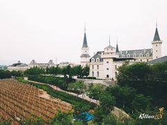 -北京张裕爱斐堡酒庄
