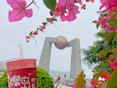 -南澳岛打卡果汁冰公司