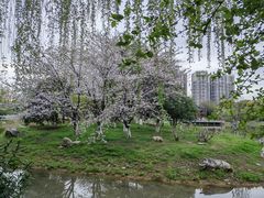 -堤角公园