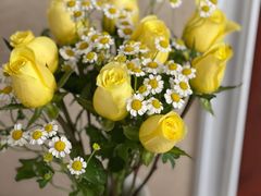 -循礼门鲜花花市(武汉循礼门店)