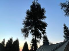 -重庆睡佛山森林公园