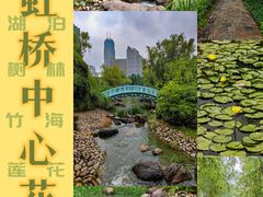 -新虹桥中心花园