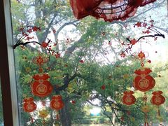 -望京一号·重庆江湖菜(工体店)