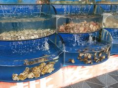 -沿海渔家院海鲜烧烤·东北菜(东戴河店)