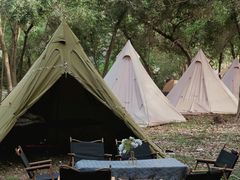 -南宁良凤江国家森林公园