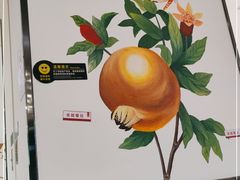-Mr.Fruits水果先生(北京市百货大楼店)