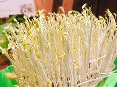 -番食园鲜食火锅(高新店)