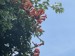 -山东省千佛山医院