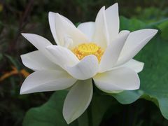 -杭州植物园