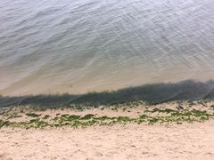 -北海金海湾红树林生态旅游区