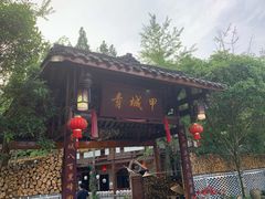 -青城甲(青城山店)