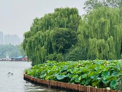 -济南大明湖景区