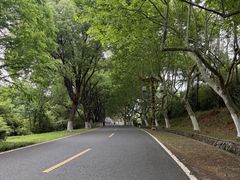 -宜兴龙背山森林公园