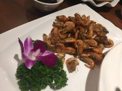 -浦江餐饮•上海菜馆(五四路店)