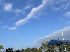-老太太海鲜城(森林公园任家台店)