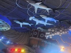 -烟台海昌鲸鲨海洋公园