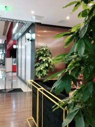 -崇尚GAVIN STYLE臻选