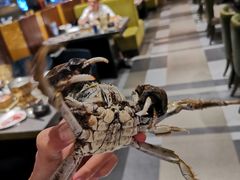 -小天鹅戴斯酒店鲸鲨百汇创作料理