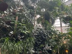 -国信南山温泉