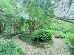 -秋霞圃