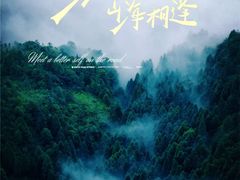 -玉苍山国家森林公园