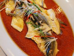 -丹江渔村(望京店)