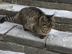 -慕田峪长城