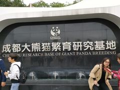 门面-成都大熊猫繁育研究基地