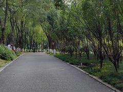 -重庆彩云湖湿地公园