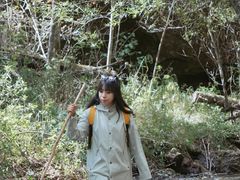 -峡谷浮石林景区