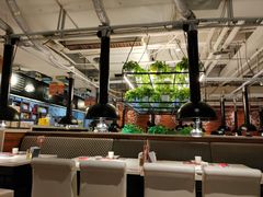 -猫爪爪原切自助烤肉(观音桥阳光世纪店)
