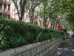 -Pistolera Mexican Cantina女枪手墨西哥餐厅(碧云路店)