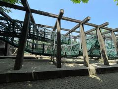 景点-东方绿舟景区