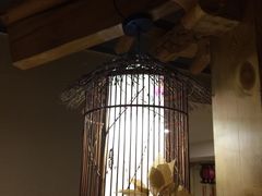 -绿岛汤泉韩式休闲会所