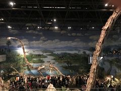 -自贡恐龙博物馆