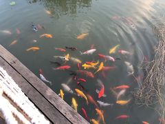 -苏州湾王焰温泉度假酒店