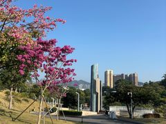-白石龙音乐公园