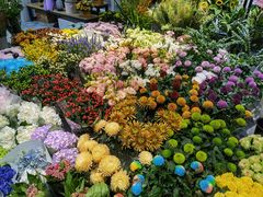 -双季花艺园艺市场(浦东店)